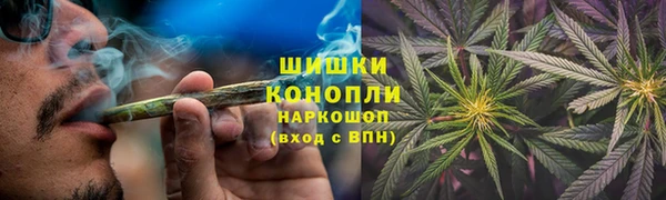 ПСИЛОЦИБИНОВЫЕ ГРИБЫ Баксан