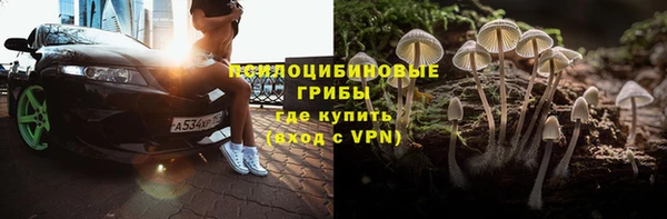 ПСИЛОЦИБИНОВЫЕ ГРИБЫ Баксан