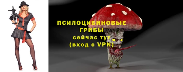 ПСИЛОЦИБИНОВЫЕ ГРИБЫ Баксан