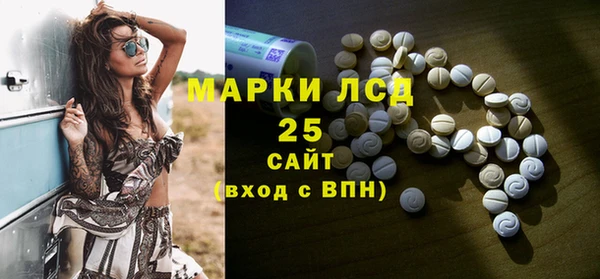 ПСИЛОЦИБИНОВЫЕ ГРИБЫ Баксан