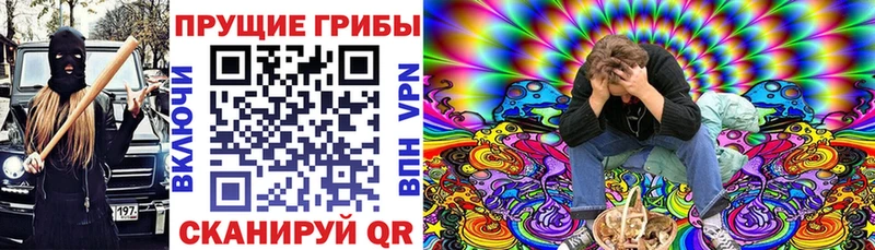 Псилоцибиновые грибы Cubensis  Краснослободск 